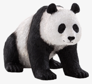 Oso Panda Png Stock - Animal Planet: Giant Panda #2421953