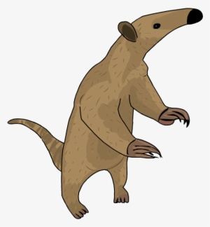 Oso Hormiguero - Oso Hormiguero En Caricatura #2422722