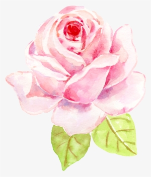 0℃素材48 - 水彩 玫瑰 #2424284