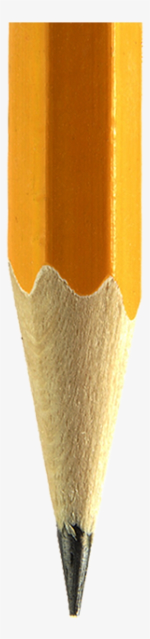 Alta Design & Engineering Manufacturing • The Professional - Paper #2426358