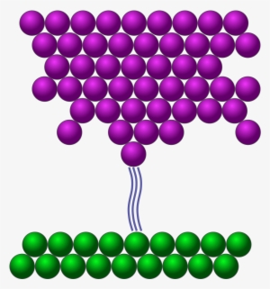Scanning Tunneling Microscope - Scanning Tunneling Microscope Report #2427591