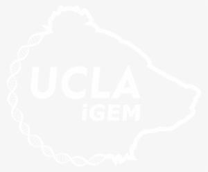 Ucla Fielding School Of Public Health Logo #2428159