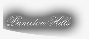 Plan B Skate #2428440