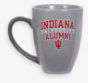 Image For Iu Alumni Graystone Mug - Indiana Pacers #2428763