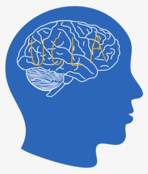 Uclasynapse@gmail - Com - Illustration #2428866