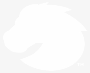 Boise State Broncos 05 Logo Black And White - Usgs Logo White #2429347