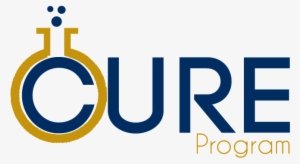 Coulter Undergraduate Research Excellence Program - Cure Fiu #2430594