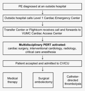 Activation Flow Chart Of Vanderbilt University's Pert - Use Pert Flow Chart #2431011