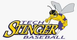 Tech Stingers Defeat Ranked Pitt Cc In Three Games - Florence Darlington Technical College Stingers Logo #2431703