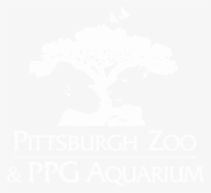 Pittsburgh Zoo Ppg - Montco 1614 Custom Vinyl Name Badges W/ 1-color Imprint #2431801