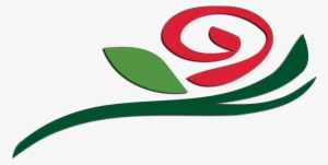 Alpha Gamma Delta Rose #2433845