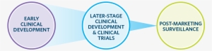 Clinical Drug Dev Web Graphic Transparent Bkgd - Graphics #2434685