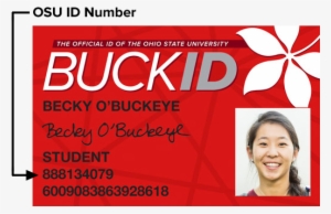 Osu Buckid #2436976