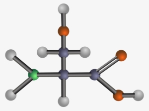 Serine - Amino Acids Clipart #2437146