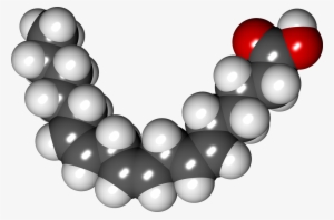 Gamma Linolenic Acid - Polyunsaturated Fatty Acid Png #2437473
