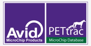 Avid / Pettrac Are The Main Ndwa Sponsor - Database - Free Transparent ...