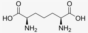 Diaminopimelic Acid - O Succinyl Homoserine #2437698
