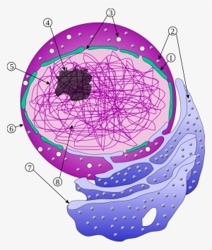 Open - Endoplasmic Reticulum Svg #2437727
