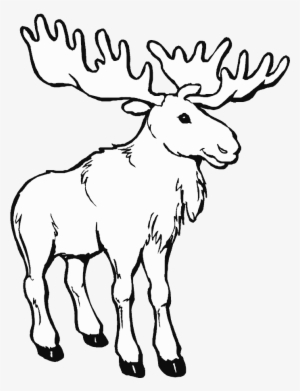 Png Library Animals Printable Coloring Pages Page - Moose Coloring Pages #2437857