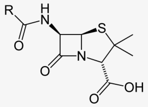Penicillin Nucleus 2d Balls - Penicillin Structure #2438021