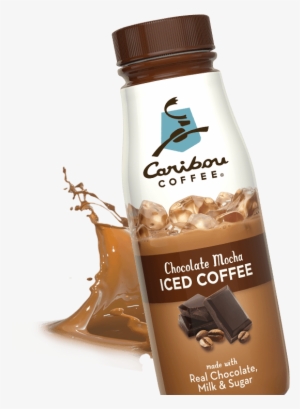 Caribou Coffee Iced Coffee, Chocolate Mocha - 14 Fl #2438040