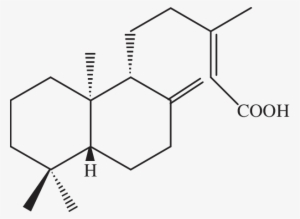 Chemical Structure Of -copalic Acid - Science #2438083