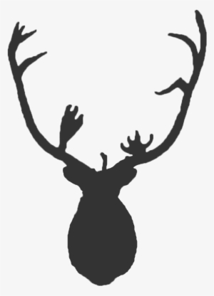 Caribou #2438212