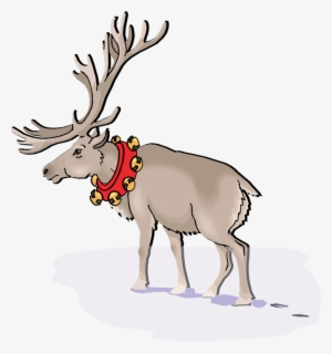 Caribou Reindeer - Reindeer #2438294