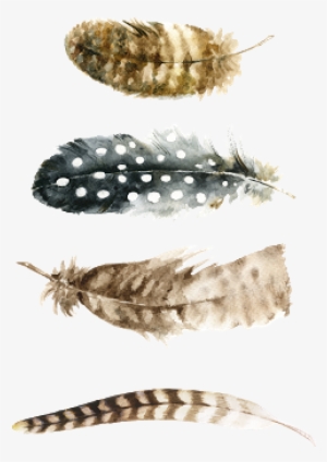 Feather Wall Charts & Free Feather Printables - Watercolor Feather Png Free #2438296
