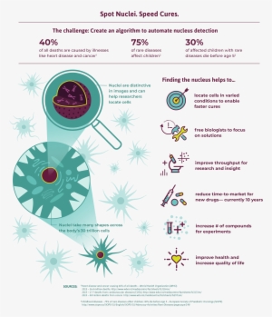 Why Nuclei - Machine Learning #2438511