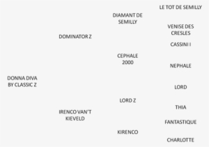 Pedigree Donna Diva - Donna Diva #2439843