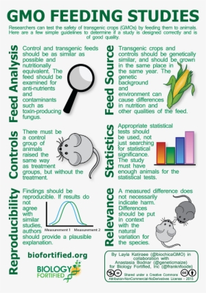 Animal Feeding Study Png 80dpi - Studies Of Gmos #2440397