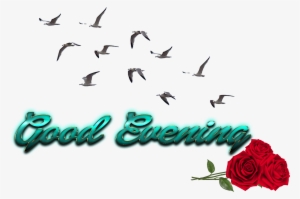 Good Evening Free Png Image - Cb Birds Png Picsart #2441714