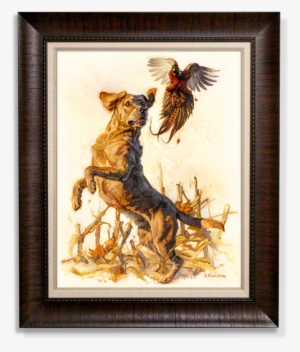 Ryan Kirby Deer Outdoor Life August 2017 Cover #2442129