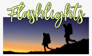 Flashlights At Costco #2442640