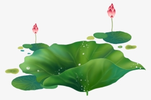 Cartoon Lotus Decorative About Hand Droplets - Portable Network Graphics #2442757