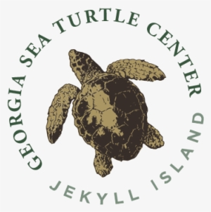 Georgia Sea Turtle Center Logo 360px - Georgia Sea Turtle Center Logo #2443007