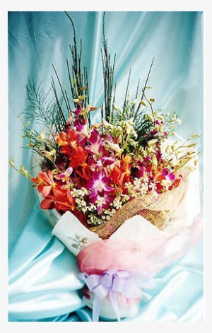 Hb O104 A Welcome Gift - Gift #2443946