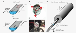 The Coordinate - Cube #2443976