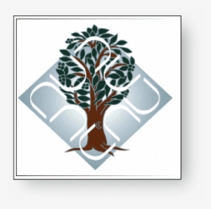 Ambedkar University Mba Admission Details - Ambedkar University Delhi #2444197