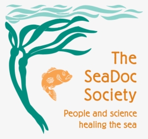 Sea Vector Png #2444897