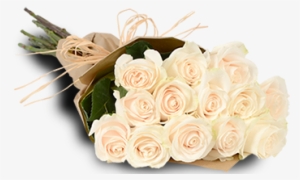 White Roses - 1 Dozen White Roses Bouquet #2445262