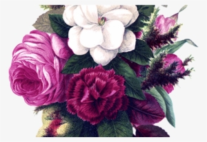 Collection Of Free Drawing Flowers Vintage Flower Download - Watercolor Border Flower Background #2445404 Collection Of Free Drawing Flowers Vintage Flower Download - Watercolor Border Flower Background #2445404