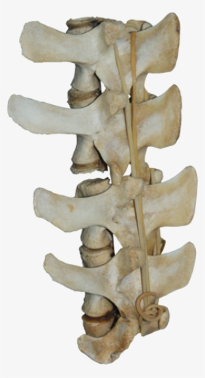 Bone-016 - Silverstone Gd07b Grandia Series Htpc Case #2445479