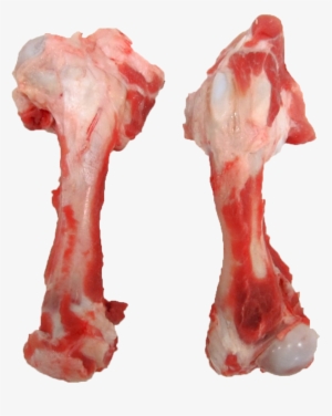 Lamb Bones - Bone #2445510