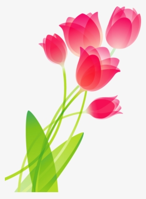 Tulip Png Transparent Tulip Png Image Free Download Page
