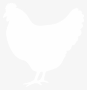 Contact Us - Chicken #2445840
