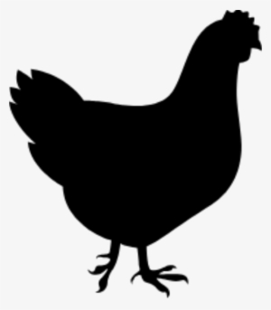 Broiler Breeder - Chicken Silhouette #2445962