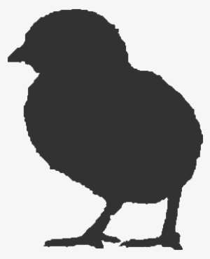 Ontario Broiler Chicken Hatching Egg Producers Association - Chicken #2446076