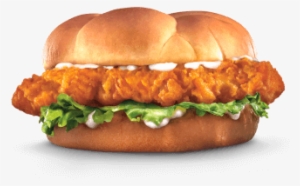 Chicken Fillet - Fillet #2446180